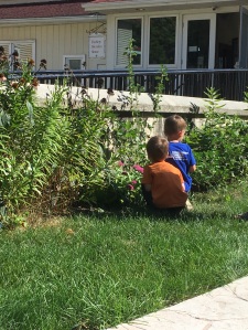 Children observing butterflies in the garden.
